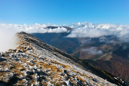 山岚