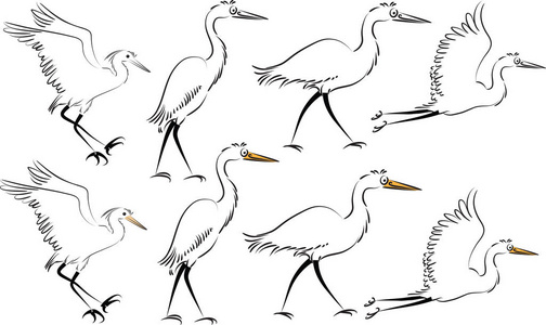 可爱的白鹭图片-可爱的白鹭素材-可爱的白鹭插画-摄图新视界
