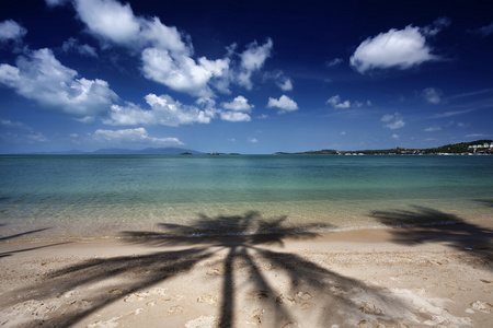 泰国苏梅岛 苏梅岛，视图的海滩和棕榈树的影子