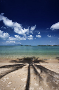 泰国苏梅岛 苏梅岛，视图的海滩和棕榈树的影子
