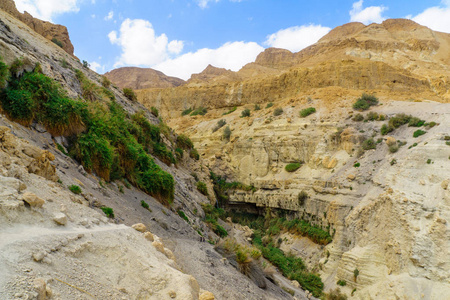 Nahal 的大卫山谷, 位于基底上的自然保护区