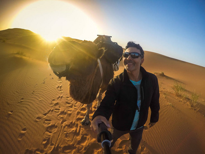 撒哈拉沙漠中的骆驼自拍