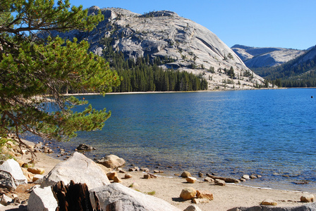 清澈的湖在优胜美地国家公园