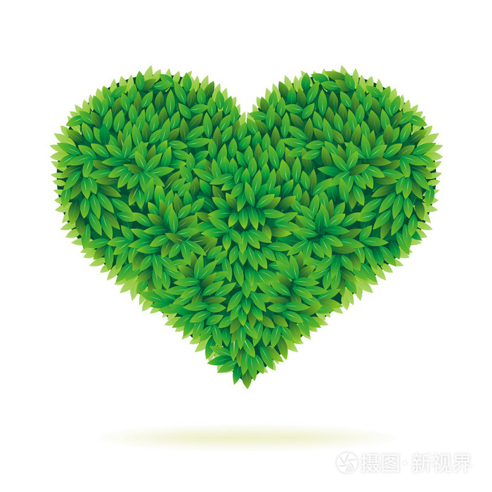 在绿色的树叶心符号
