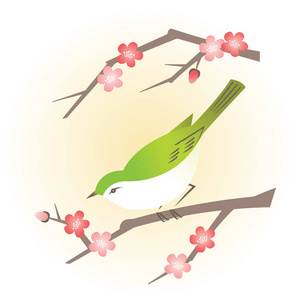 与亚洲春天盛开的花朵和绿色的春天鸟的分支