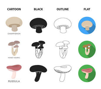 香菇, 亲爱的, 伞, 菇, 鸡油菌。集合图标在卡通, 黑色, 轮廓, 平面风格矢量符号股票插画网站