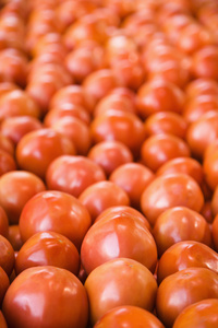 在农产品市场上的西红柿图片