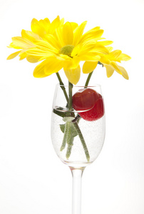 黄色的花朵，在白色背景上的酒玻璃