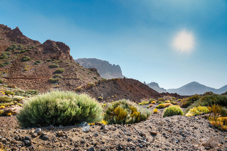 Teide 火山, 特内里费岛, 加那利群岛景观景观