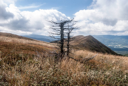 波兰 Bieszczady 山脉秋季 Polonina Wetlinska