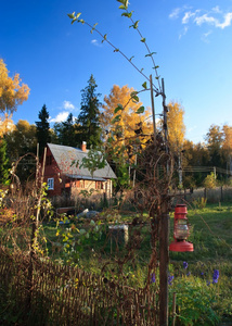 在森林里的房子照片