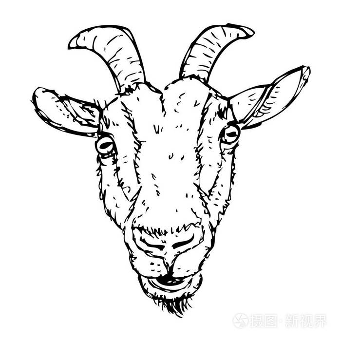 草绘山羊滑稽画像的向量例证