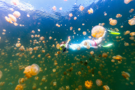 旅游女人与地方性金黄水母湖在帕劳浮潜水下照片。在水母湖浮潜是受欢迎的活动，为游客到帕劳