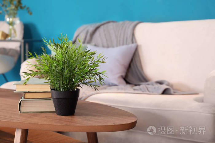 客厅木桌上有植物和书的花盆