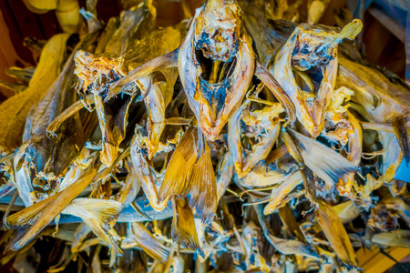 罗弗敦岛鳕鱼鱼类传统干燥方式选择焦点的关闭