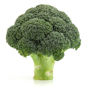 成熟的西兰花图片-成熟的西兰花素材-成熟的西兰花插画-摄图新视界