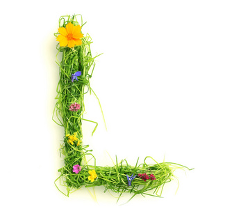 字母做的花和草