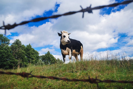 波兰农村地区图片