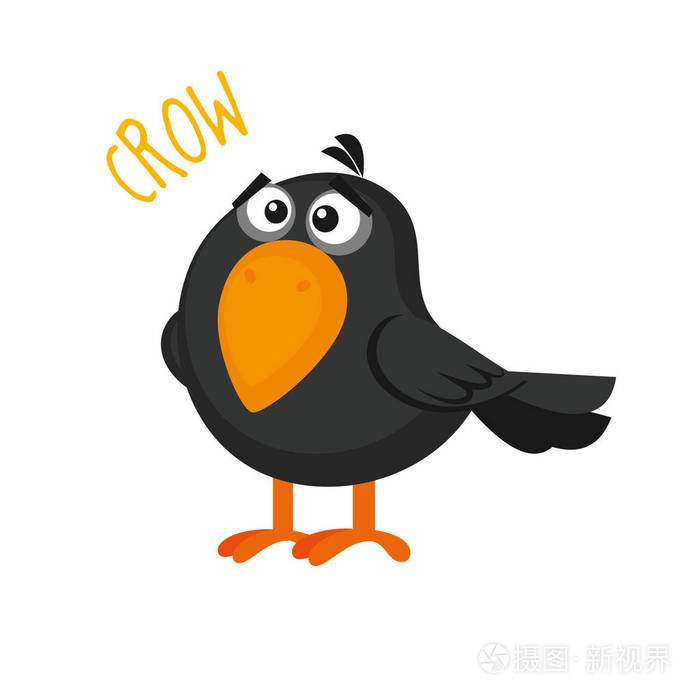乌鸦矢量插图孤立