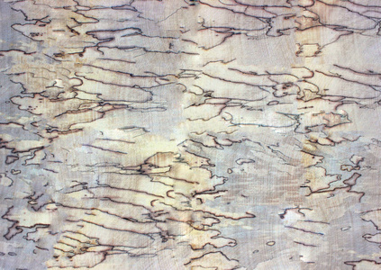 抽象木桌纹理背景。老腐烂的树, 从上面看