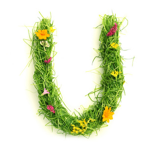 字母做的花和草