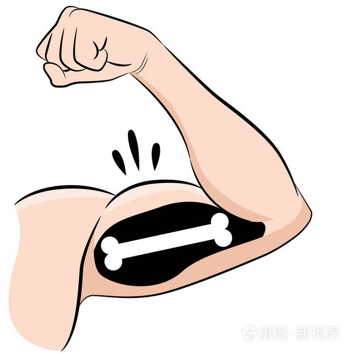 强壮的肌肉骨骼男性手臂弯曲的二头肌