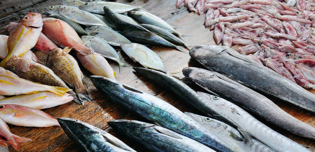 新鲜的鱼和鱿鱼放在木桌上。斯里兰卡。宽照片