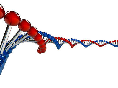 在白色背景的 dna 链照片