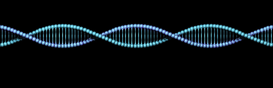 dna 螺旋结构上黑