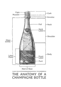 香槟瓶子手绘插图图片