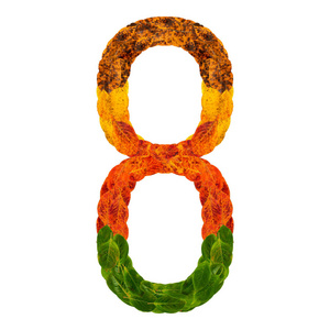 自然多层生活叶子被隔绝在白色背景.字母字体的彩色字符.