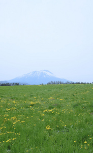 草地和岩手县山