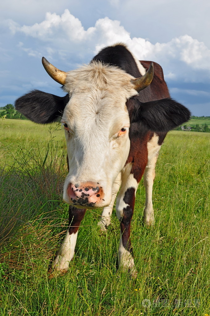 680_1024竖版 竖屏