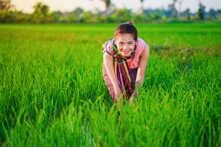 稻田打工的农民妇女图片