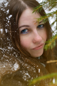 一个年轻女子的肖像, 洒在阳光下的雪发