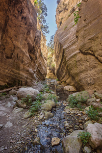 Avakas 峡谷在塞浦路斯。前景小河, 阳光明媚的岩石