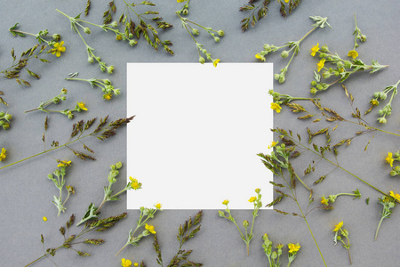 创意布局由野花和树叶制成的纸卡说明。平躺。自然概念