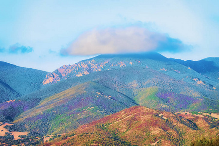 Teulada Carbonia 撒丁岛的山上有云的景观