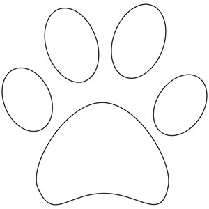 线条艺术猫爪足迹图标海报照片