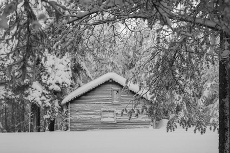 瑞典拉普兰的冬天
