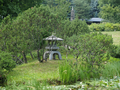 莫斯科在植物园的日本花园一角图片