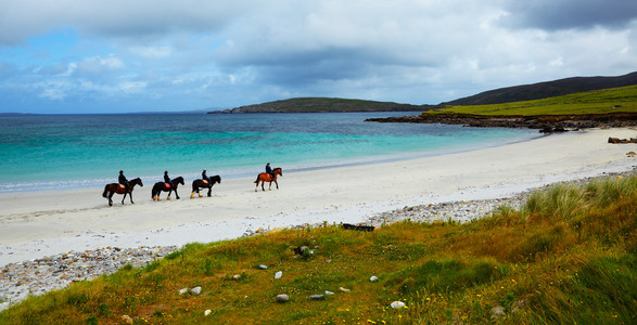 马和骑手在海滩上