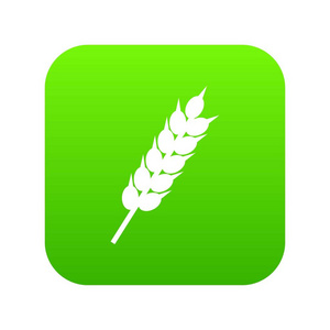 小麦干耳图标数字绿色