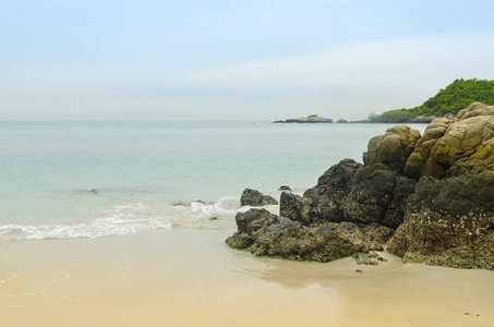 海滩和热带海