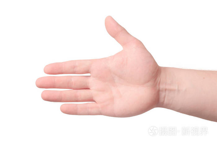 右手掌.在白色背景上被隔离