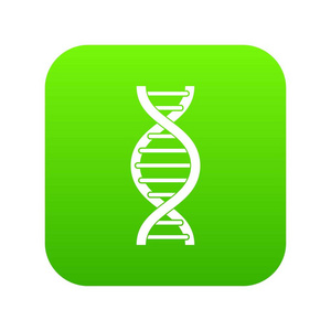 Dna 螺旋图标数字绿色