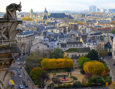 嵌合体 石像鬼 的圣母大教堂俯瞰巴黎巴黎，法国