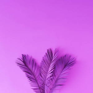 热带和棕榈树叶紫色, 概念艺术, 极小超现实主义