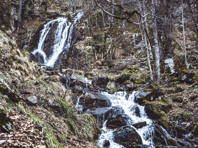 森林中的山瀑布穿过石头流