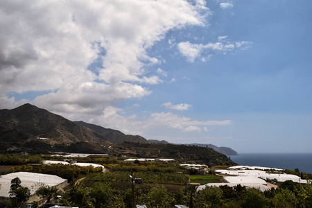 海景景观与田野和海滩